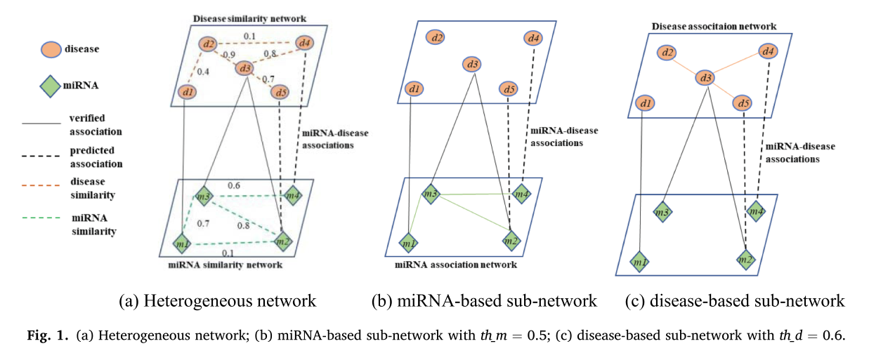 Variational_graph_au-fig-0.png