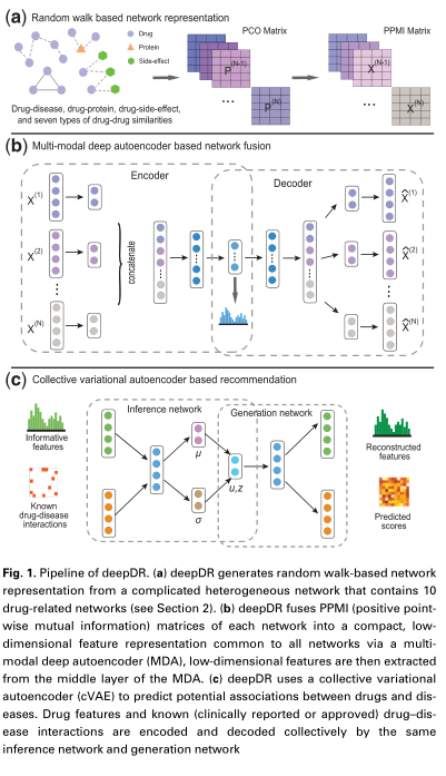 deepDR__a_network-ba-fig-7.png